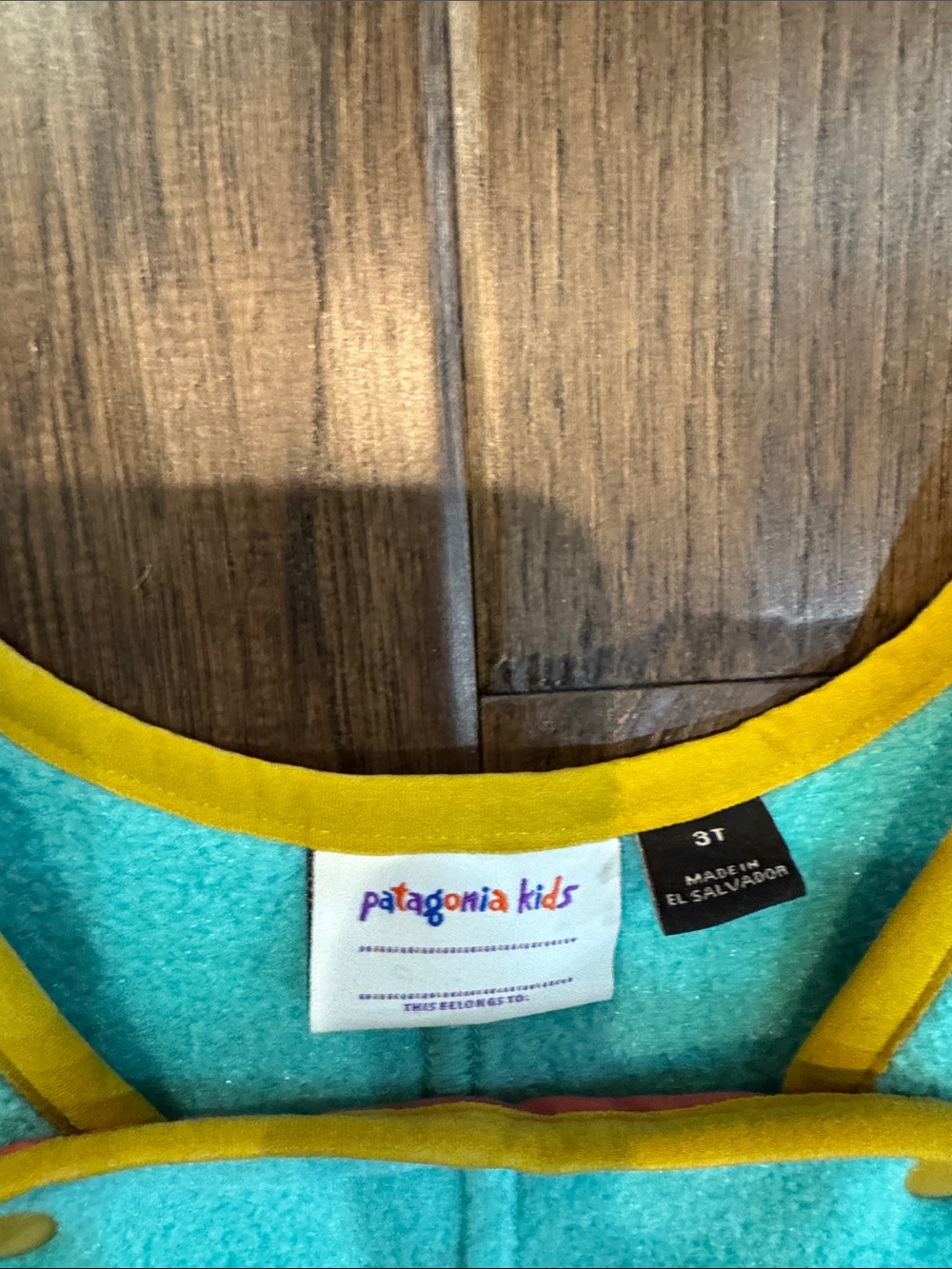 Patagonia Kids Teal Fleece Jacket and Overalls with Red and Yellow Accents - Picture 2 of 3